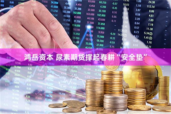 鸿岳资本 尿素期货撑起春耕“安全垫”