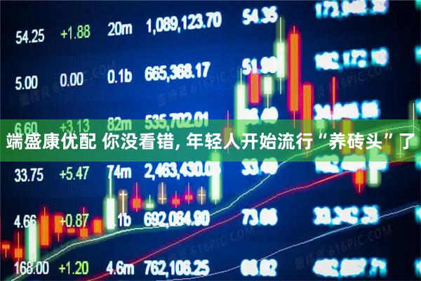 端盛康优配 你没看错, 年轻人开始流行“养砖头”了